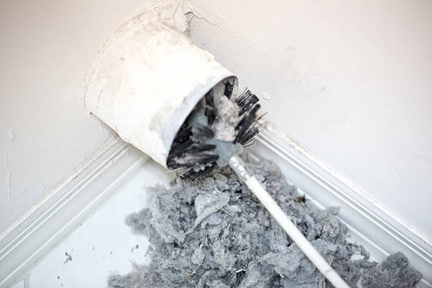 Best Air Duct Mold Removal  in Bradford, TN